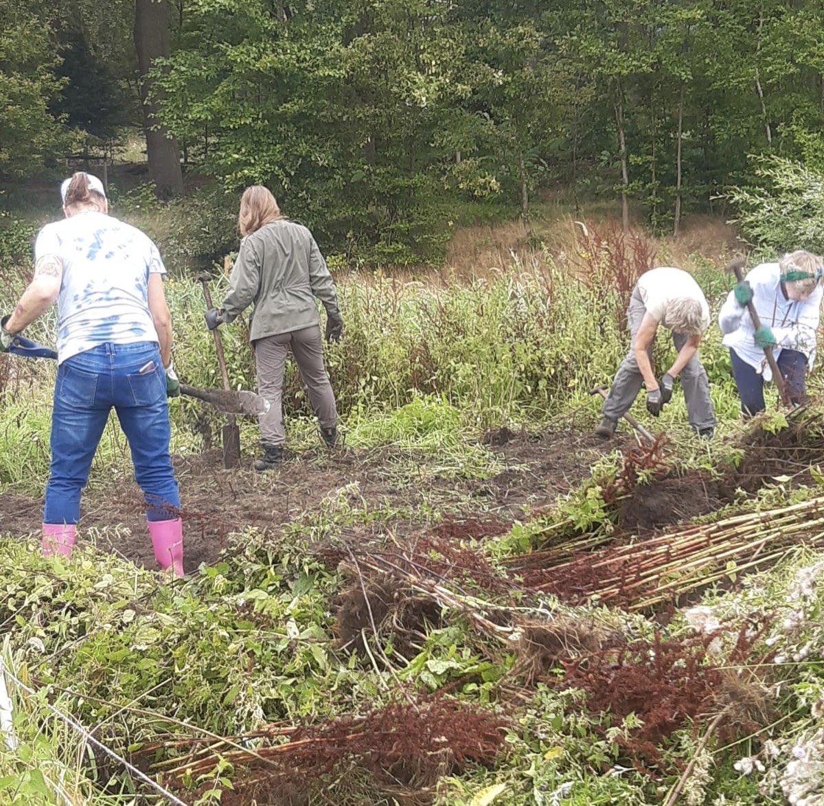 712a042f f474 4dcc be57 49da689e3965.JPG