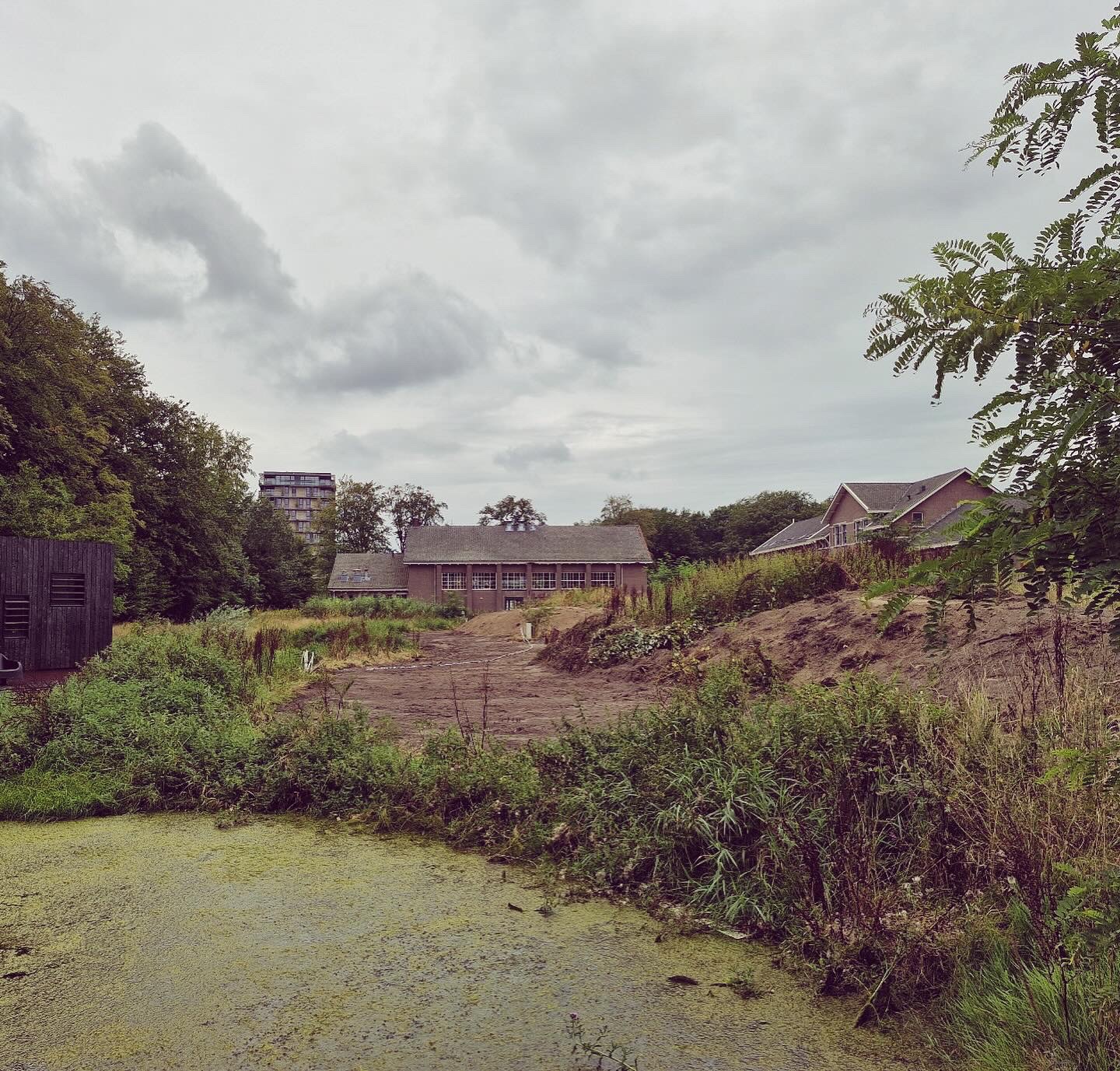 839D9855 31DA 4E8E AD9B 1354E8F58ADA%202.JPG