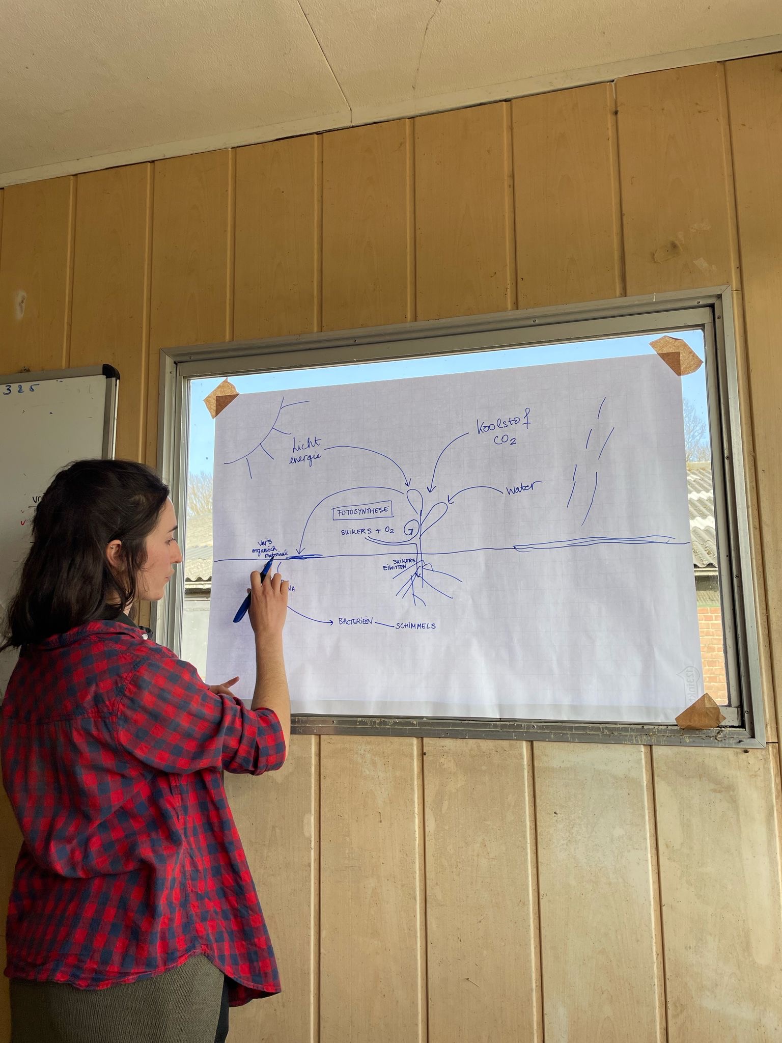 98128f0f ba9c 48bb b8a3 853f7a207bfb.JPG