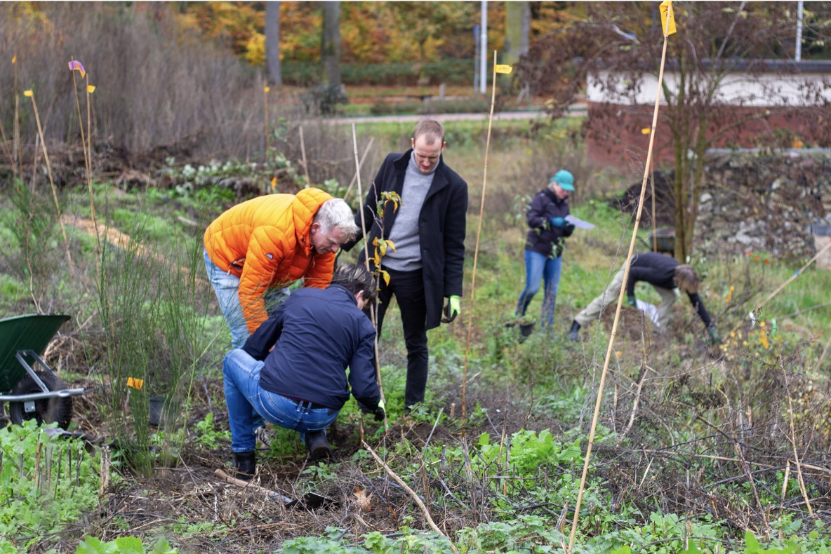 543ce20a 165c 42fa bc1c 1fa29ced9bf4%202.JPG