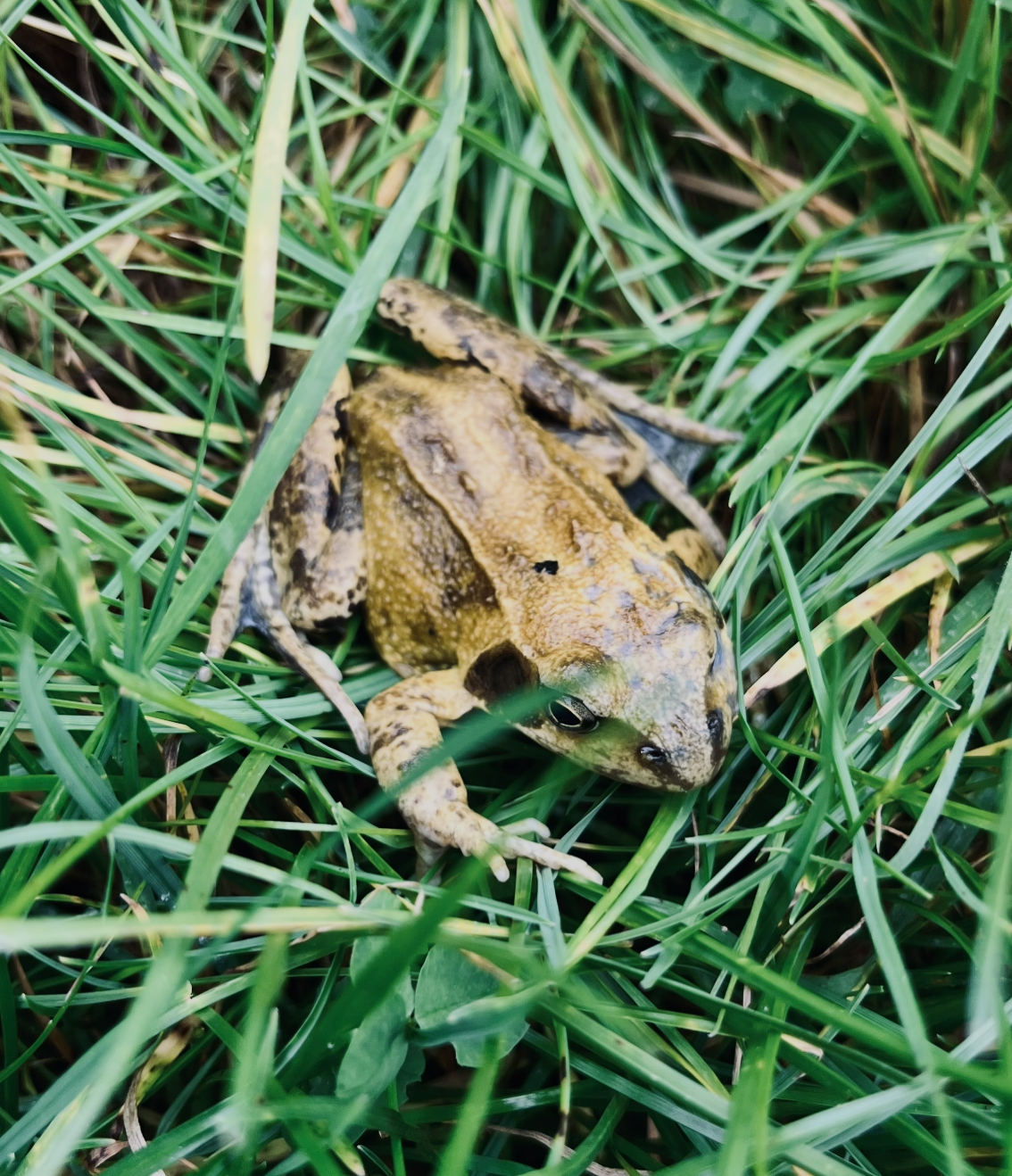 Scherm­afbeelding%202025 10 14%20om%2019.51.13