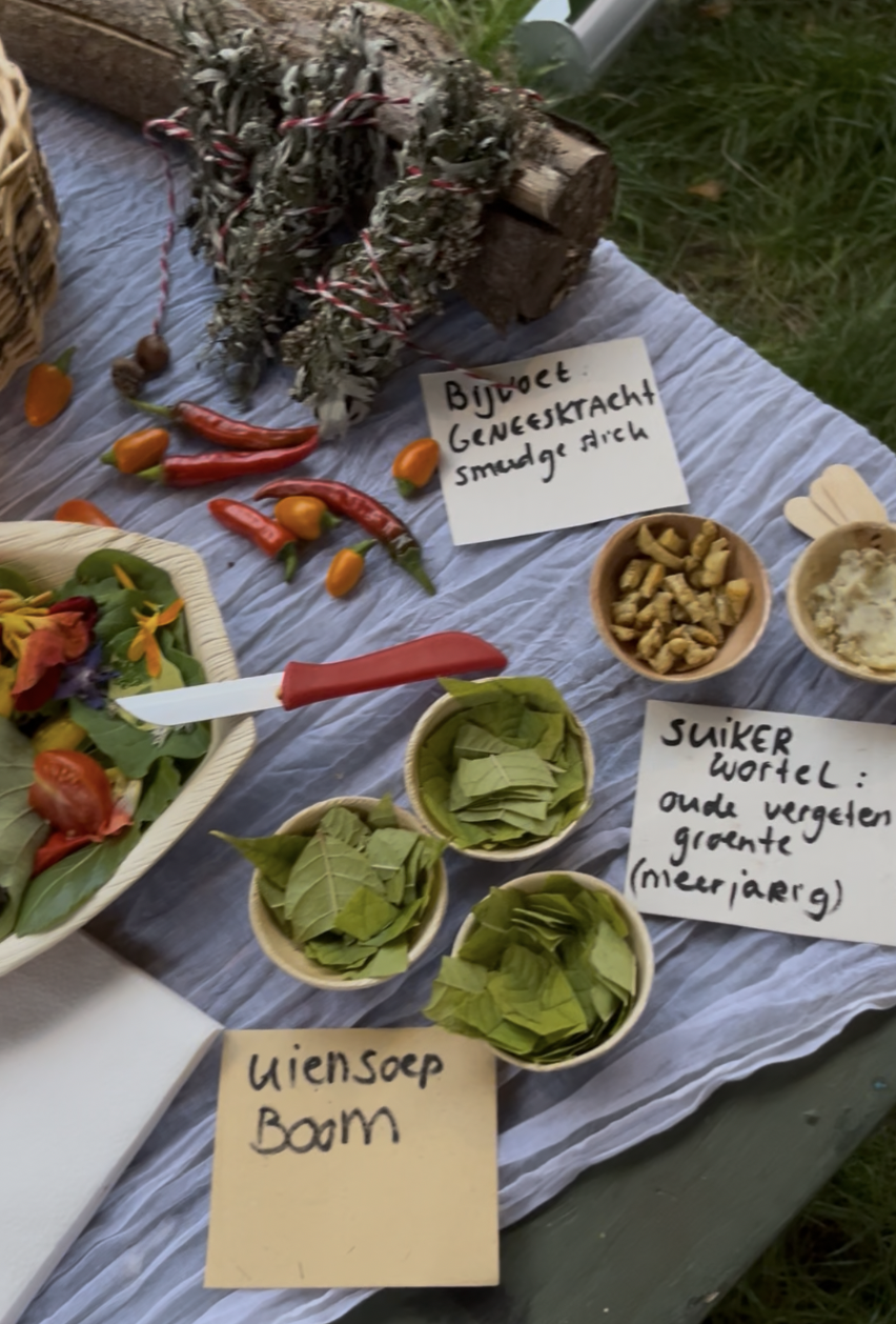 2b1390b1 9390 4ebd b856 ace1d1d06bdc%202.JPG