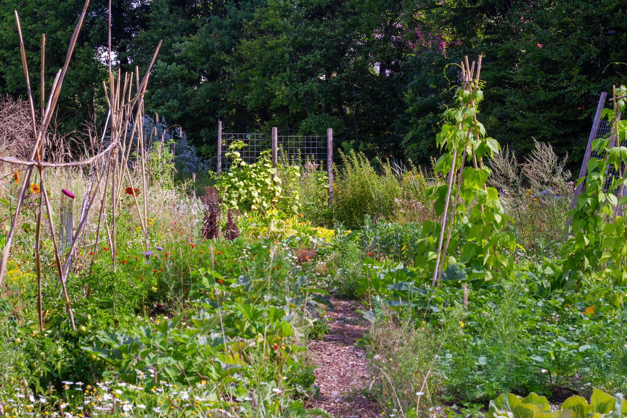 plattegrond%20wildegaard